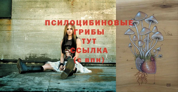 кокс Баксан