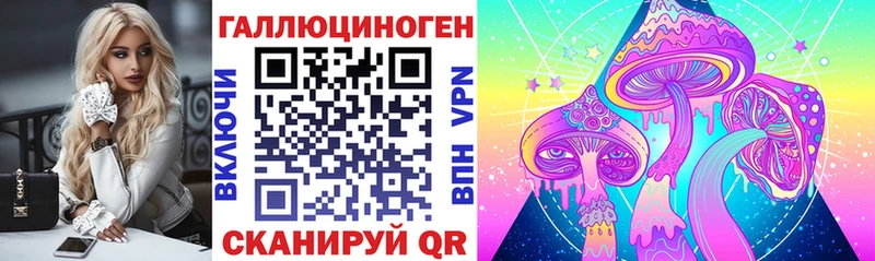 KRAKEN сайт Камешково Галлюциногенные грибы GOLDEN TEACHER